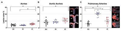 Influence of Intermittent Hypoxia/Hypercapnia on Atherosclerosis, Gut Microbiome, and Metabolome